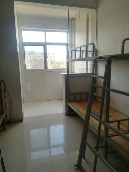 Customized Dormitory Beds for School/Factory